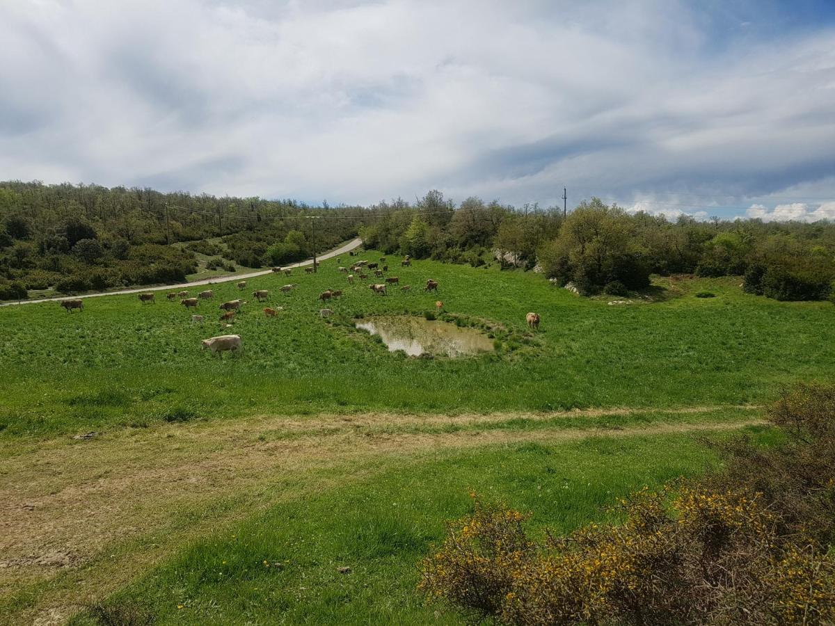 Santuari De La Salut De Sant Felíu de Pallarols Εξωτερικό φωτογραφία