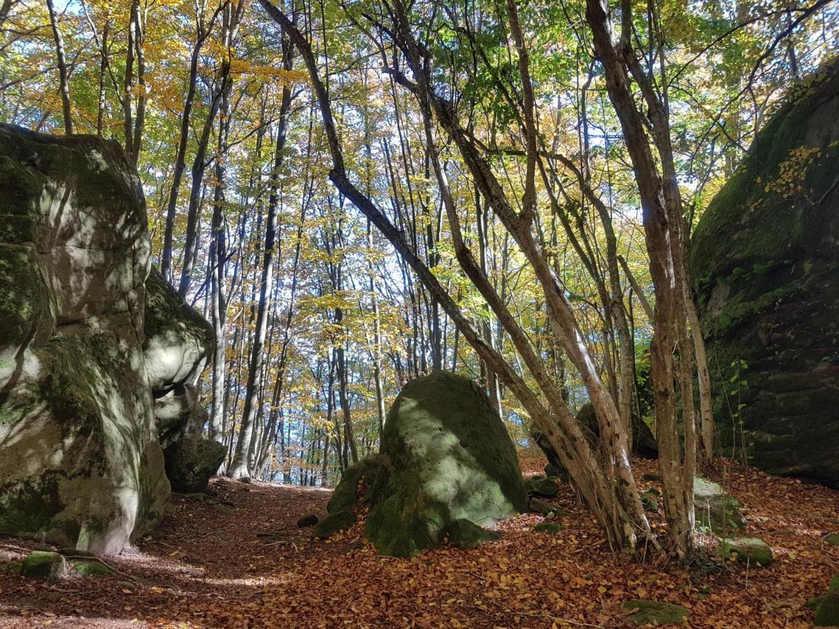 Santuari De La Salut De Sant Felíu de Pallarols Εξωτερικό φωτογραφία